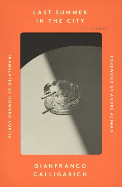 Gianfranco Calligarich - Last Summer in the City, E-bok
