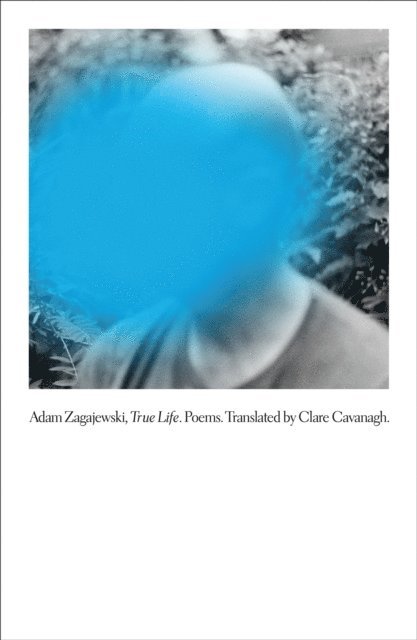 Adam Zagajewski - True Life, E-bok