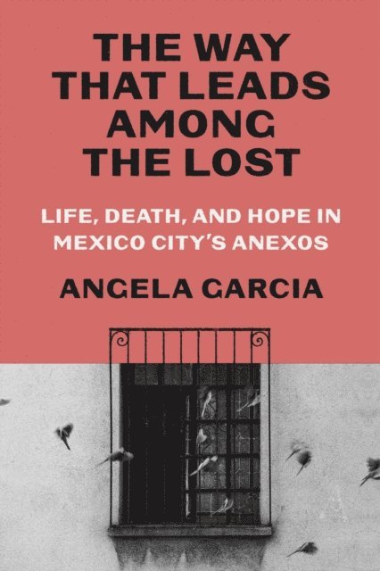 Angela Garcia - Way That Leads Among the Lost, E-bok