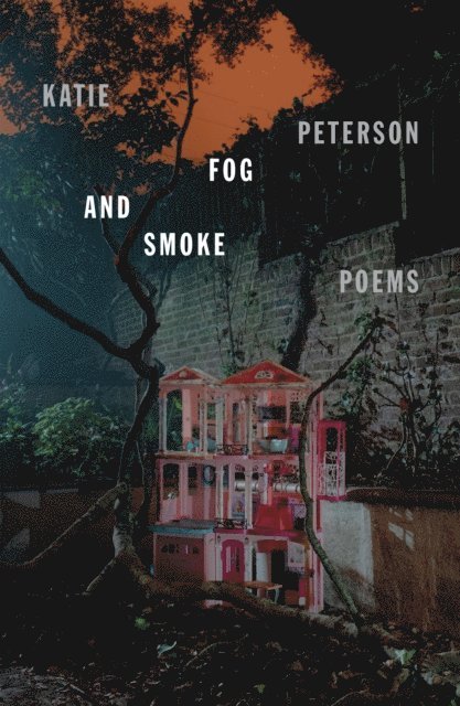 Katie Peterson - Fog and Smoke, E-bok