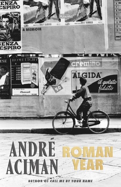 Andre Aciman - Roman Year, E-bok