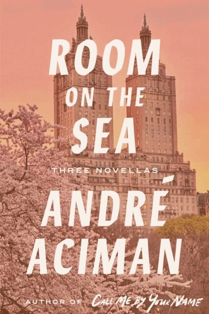 Andre Aciman - Room on the Sea, E-bok
