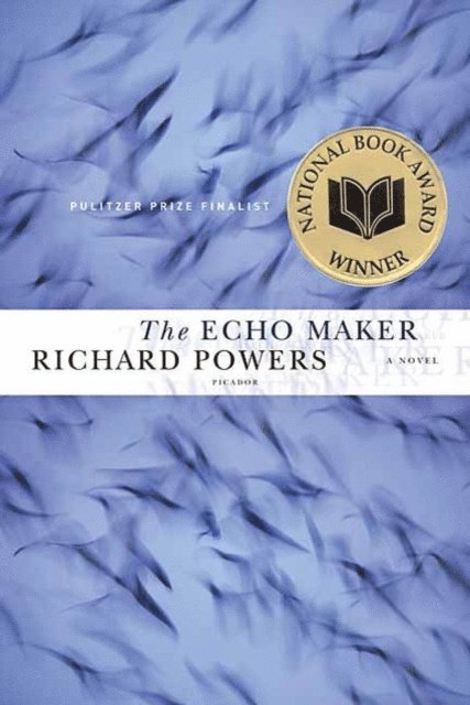 Richard Powers - Echo Maker, E-bok