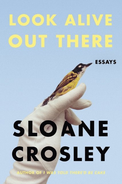 Sloane Crosley - Look Alive Out There, E-bok