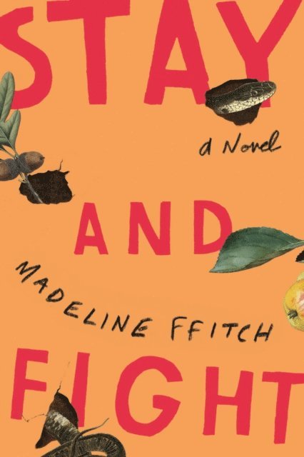 Madeline ffitch - Stay and Fight, E-bok
