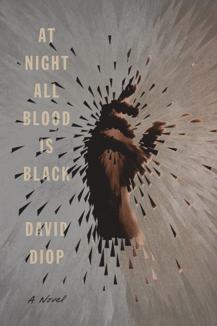 David Diop - At Night All Blood Is Black, E-bok