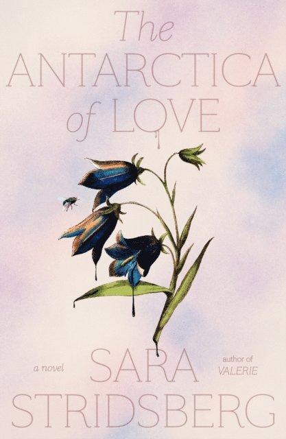 Sara Stridsberg - Antarctica of Love, E-bok