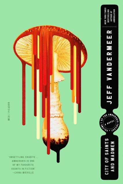 Jeff VanderMeer - City of Saints and Madmen, E-bok