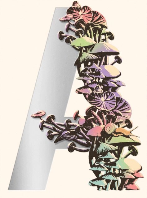 Jeff VanderMeer - Ambergris, E-bok