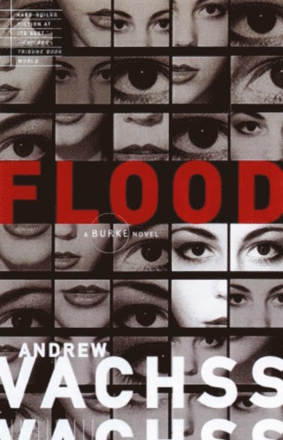 Andrew Vachss - Flood, E-bok