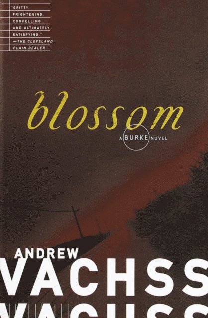 Andrew Vachss - Blossom, E-bok