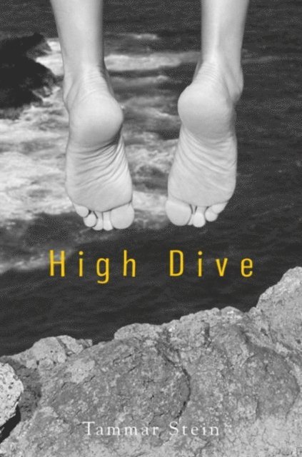 Tammar Stein - High Dive, E-bok