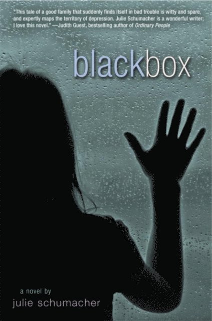 Julie Schumacher - Black Box, E-bok