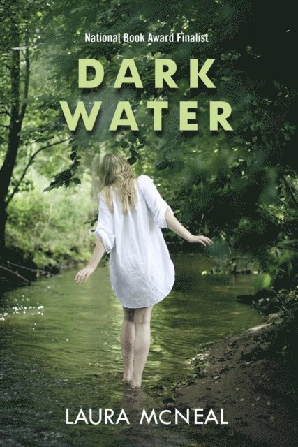 Laura McNeal - Dark Water, E-bok