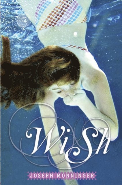 Joseph Monninger - Wish, E-bok