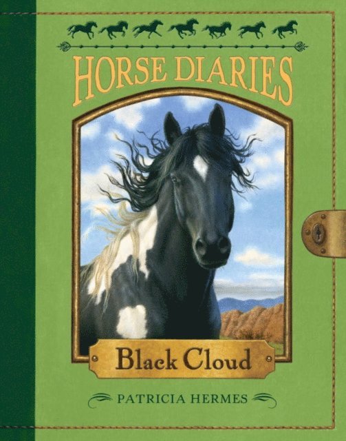 Patricia Hermes - Horse Diaries #8: Black Cloud, E-bok