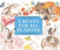Bunny for All Seasons