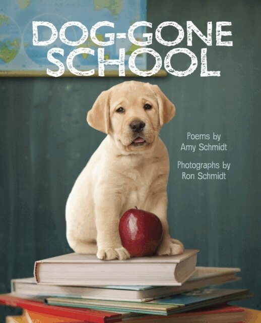Amy Schmidt - Dog-Gone School, E-bok