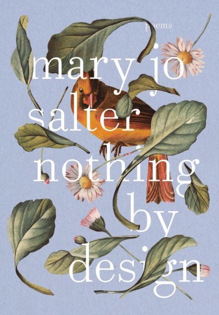 Mary Jo Salter - Nothing by Design, E-bok