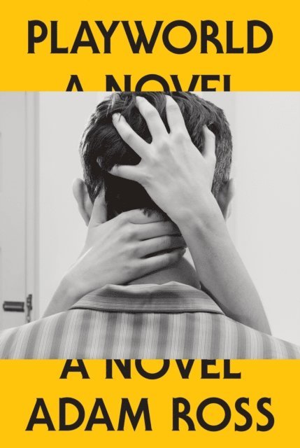 Adam Ross - Playworld, E-bok