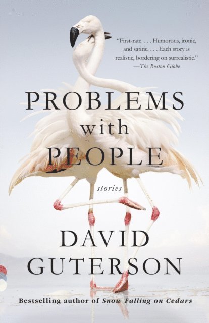 David Guterson - Problems with People, E-bok