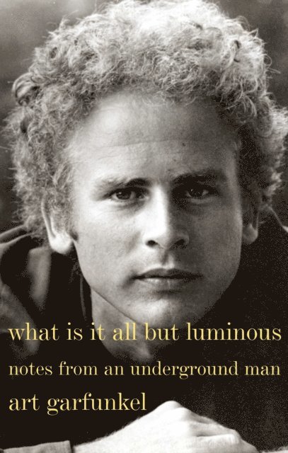 Art Garfunkel - What Is It All but Luminous, E-bok