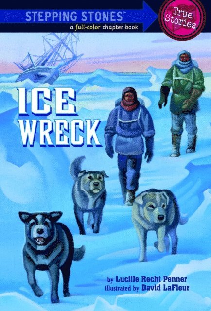 Lucille Recht Penner - Ice Wreck, E-bok