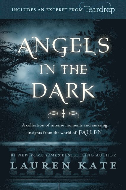 Lauren Kate - Fallen: Angels in the Dark, E-bok