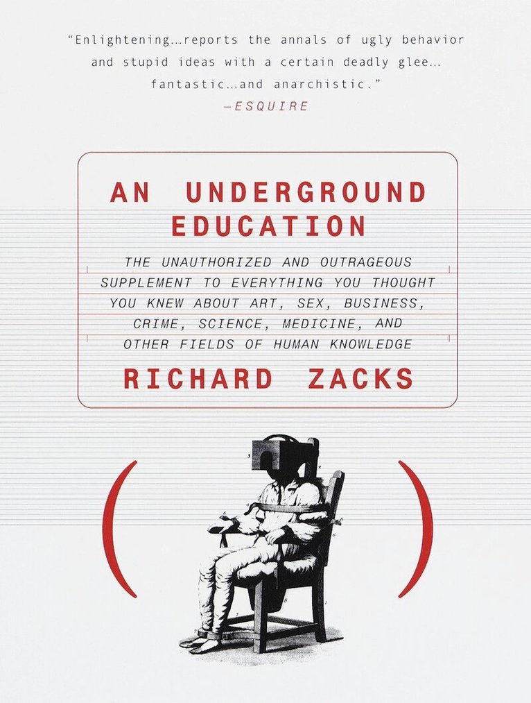 Richard Zacks - Underground Education, Häftad
