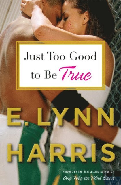 E. Lynn Harris - Just Too Good to Be True, E-bok