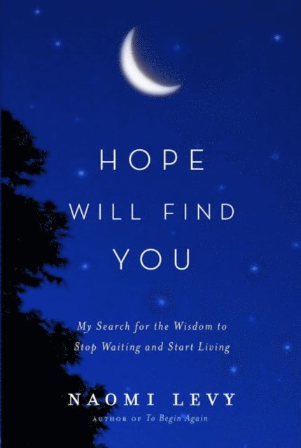 Naomi Levy - Hope Will Find You, E-bok