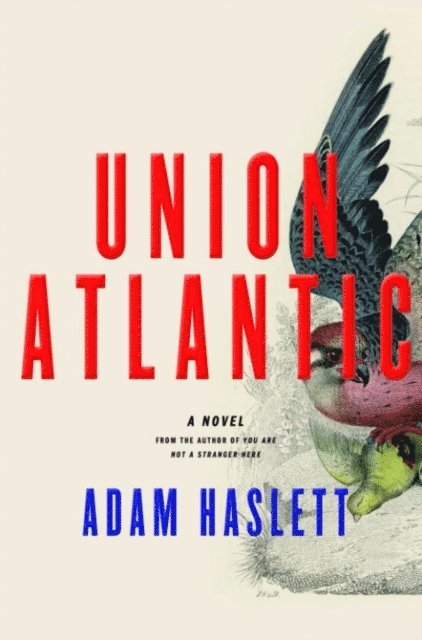 Adam Haslett - Union Atlantic, E-bok