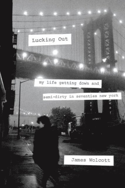 James Wolcott - Lucking Out, E-bok. Tillgänglighet: Lägg i varukorg