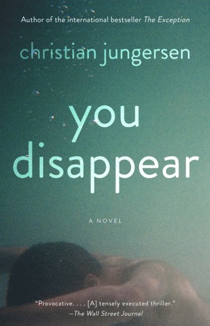 Christian Jungersen - You Disappear, E-bok