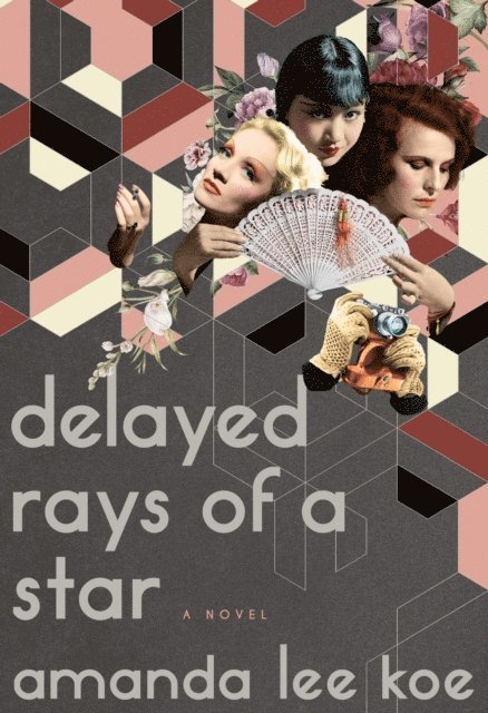 Amanda Lee Koe - Delayed Rays of a Star, E-bok