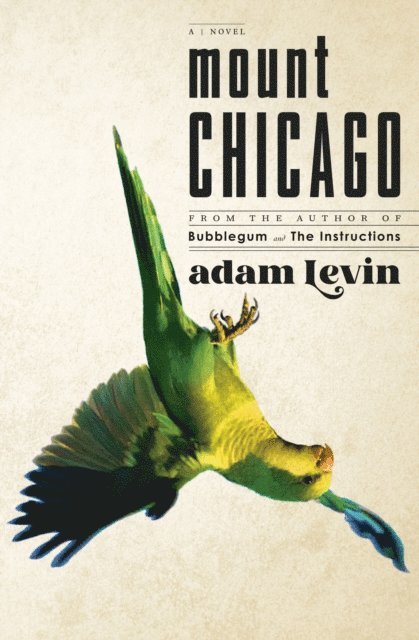 Adam Levin - Mount Chicago, E-bok