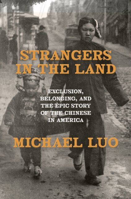 Michael Luo - Strangers in the Land, E-bok. Tillgänglighet: Lägg i varukorg