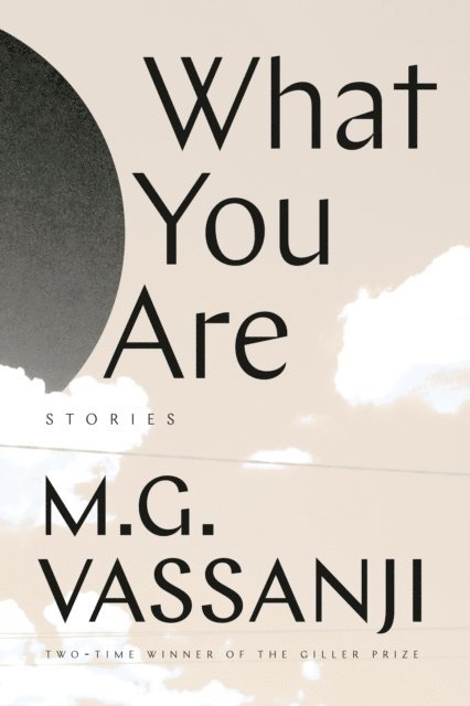 M.G. Vassanji - What You Are, E-bok