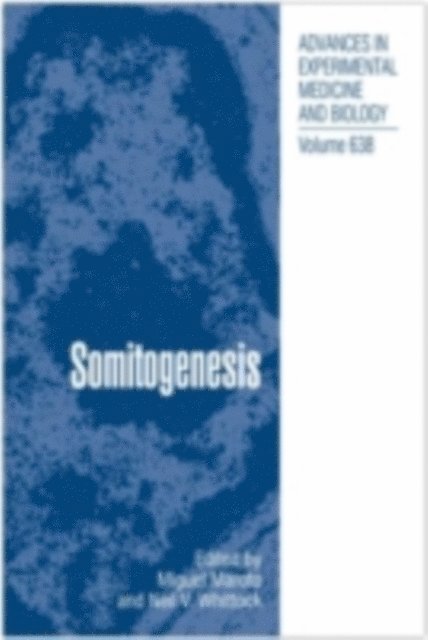 Somitogenesis