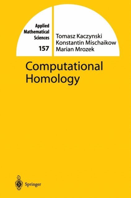 Marian Mrozek, Konstantin Mischaikow, Tomasz Kaczynski - Computational Homology, E-bok