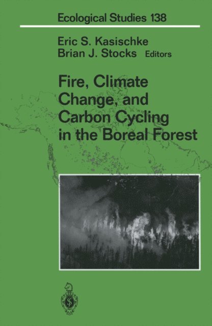 Brian J. Stocks, Eric S. Kasischke - Fire, Climate Change, and Carbon Cycling in the Boreal Forest, E-bok