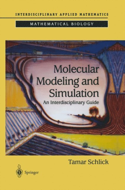 Tamar Schlick - Molecular Modeling and Simulation, E-bok