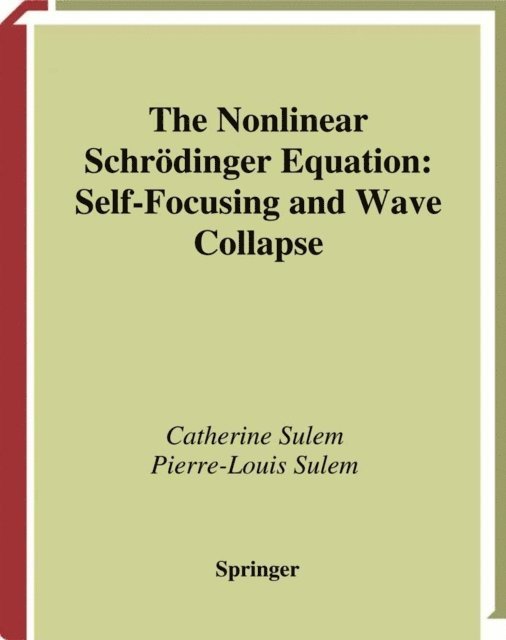Pierre-Louis Sulem, Catherine Sulem - Nonlinear Schrodinger Equation, E-bok