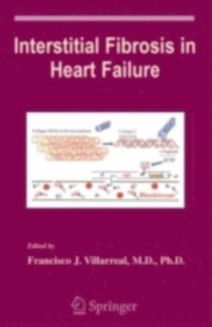 Francisco Villarreal - Interstitial Fibrosis in Heart Failure, E-bok