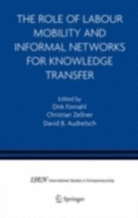 David B. Audretsch, Christian Zellner, Dirk Fornahl - Role of Labour Mobility and Informal Networks for Knowledge Transfer, E-bok