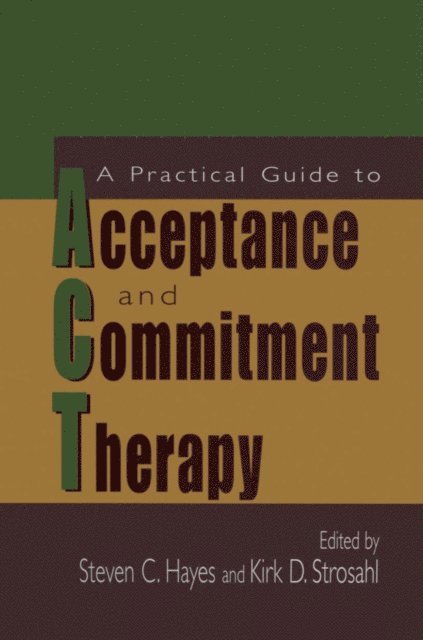 Kirk D. Strosahl, Steven C. Hayes - Practical Guide to Acceptance and Commitment Therapy, E-bok