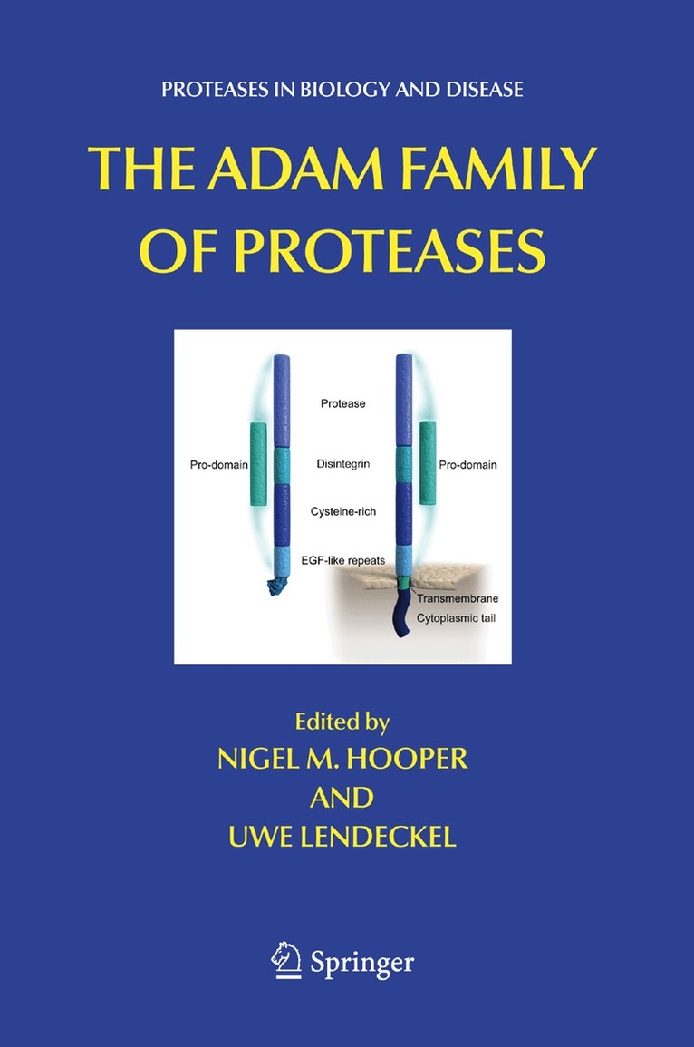 Nigel M Hooper, Uwe Lendeckel - ADAM Family of Proteases, Inbunden