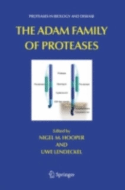 Uwe Lendeckel, Nigel M Hooper - ADAM Family of Proteases, E-bok
