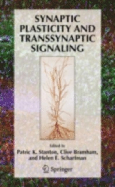 Helen E. Scharfman, Clive Bramham, Patric K. Stanton - Synaptic Plasticity and Transsynaptic Signaling, E-bok