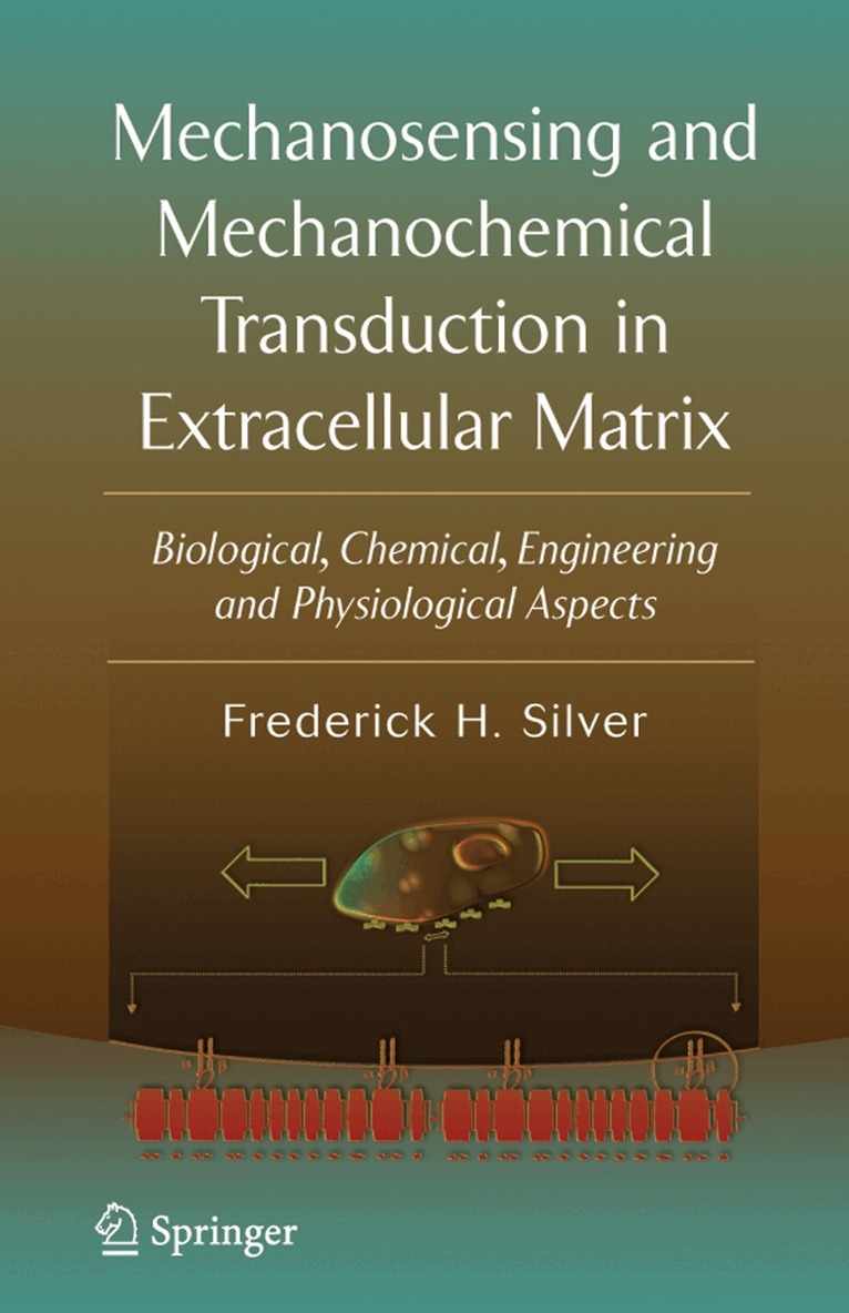 Frederick H. Silver - Mechanosensing and Mechanochemical Transduction in Extracellular Matrix, Inbunden. Tillgänglighet: Lägg i varukorg